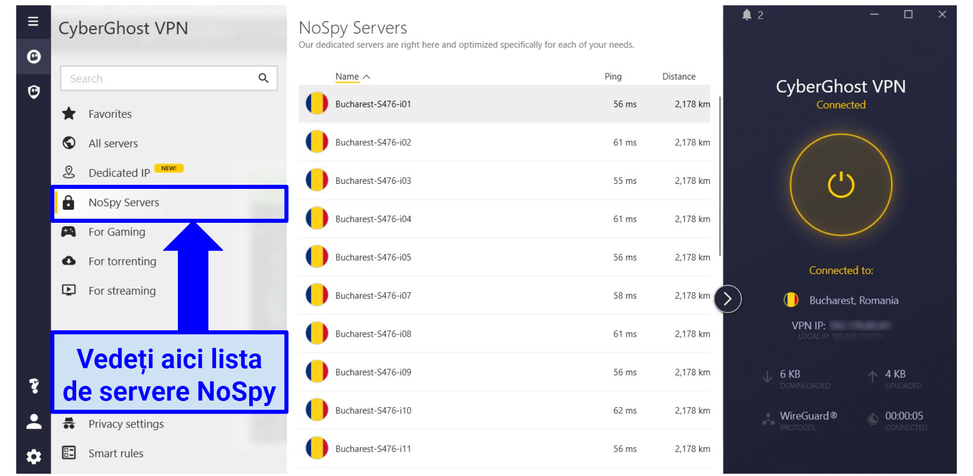 graphic showing NoSpy servers