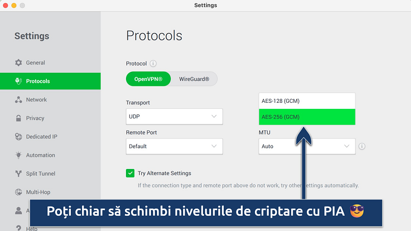 Screenshot showing how to switch encryption levels on the PIA app